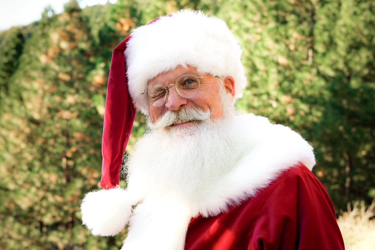 Toddler meeting Santa for the first time